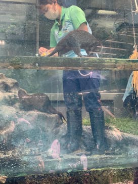 サンシャイン水族館に投稿された画像（2023/8/17）