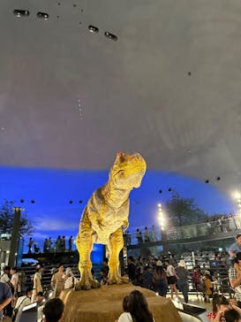 福井県立恐竜博物館に投稿された画像（2023/8/17）