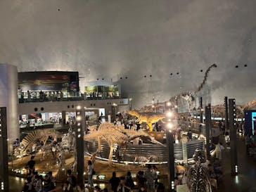 福井県立恐竜博物館に投稿された画像（2023/8/17）