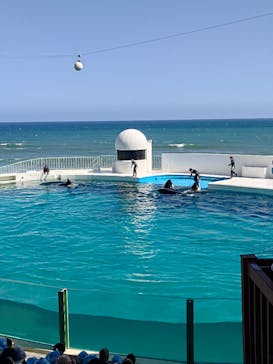 鴨川シーワールドに投稿された画像（2023/8/17）