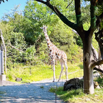 天王寺動物園に投稿された画像（2023/8/17）