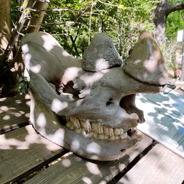 天王寺動物園に投稿された画像（2023/8/17）