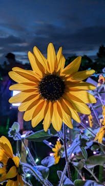 せんだい農業園芸センター　みどりの杜に投稿された画像（2023/8/17）