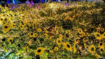 せんだい農業園芸センター　みどりの杜に投稿された画像（2023/8/17）