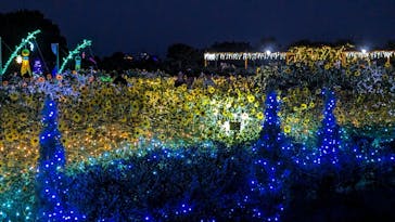 せんだい農業園芸センター　みどりの杜に投稿された画像（2023/8/17）