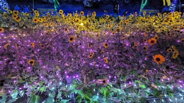 せんだい農業園芸センター　みどりの杜に投稿された画像（2023/8/17）