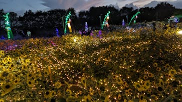 せんだい農業園芸センター　みどりの杜に投稿された画像（2023/8/17）