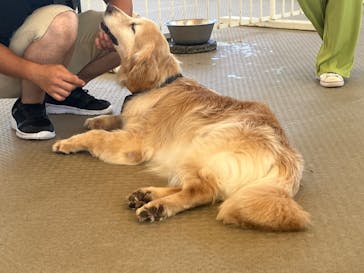 那須どうぶつ王国に投稿された画像（2023/8/17）