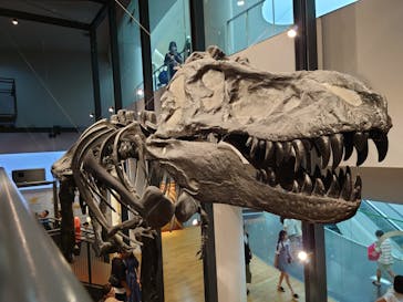 福井県立恐竜博物館に投稿された画像（2023/8/17）