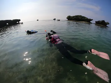 武藤潜水に投稿された画像（2023/8/17）