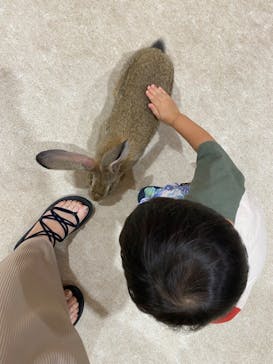 アニタッチみなとみらいに投稿された画像（2023/8/17）