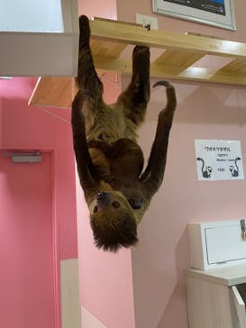 アニタッチみなとみらいに投稿された画像（2023/8/17）