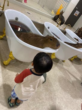 アニタッチみなとみらいに投稿された画像（2023/8/17）