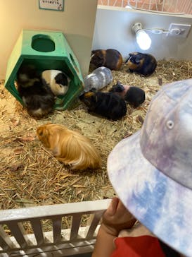 アニタッチみなとみらいに投稿された画像（2023/8/17）