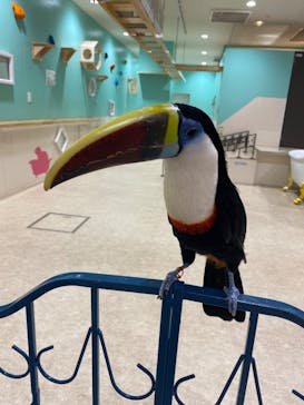 アニタッチみなとみらいに投稿された画像（2023/8/17）