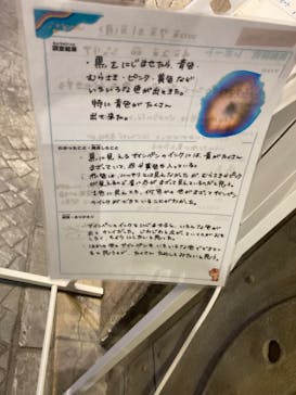 カンドゥー幕張に投稿された画像（2023/8/17）