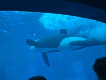 名古屋港水族館に投稿された画像（2023/8/17）