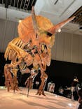 DinoScience 恐竜科学博 2023@TOKYO MIDTOWNに投稿された画像（2023/8/17）