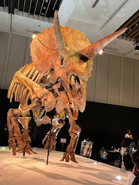 DinoScience 恐竜科学博 2023@TOKYO MIDTOWNに投稿された画像（2023/8/17）