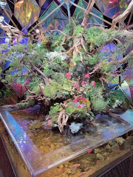 NARA KINGYO MUSEUMに投稿された画像（2023/8/17）