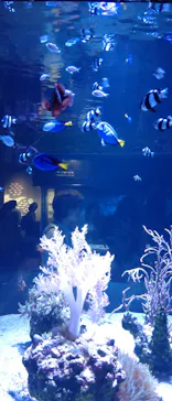 すみだ水族館に投稿された画像（2023/8/17）