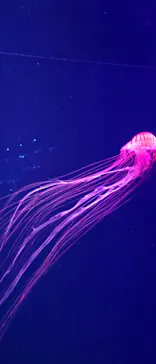 すみだ水族館に投稿された画像（2023/8/17）