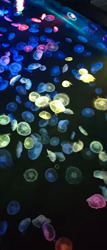 すみだ水族館に投稿された画像（2023/8/17）