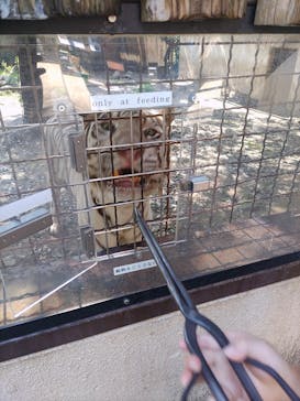 群馬サファリパークに投稿された画像（2023/8/17）