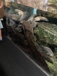 京都水族館×ニデック京都タワーに投稿された画像（2023/8/17）
