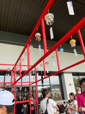 京都水族館×ニデック京都タワーに投稿された画像（2023/8/17）