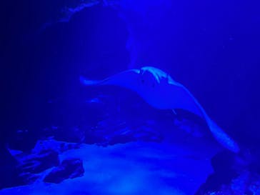 マリンワールド海の中道に投稿された画像（2023/8/17）