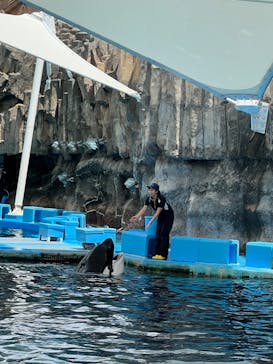 名古屋港水族館に投稿された画像（2023/8/17）