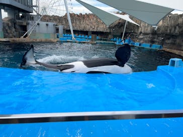 名古屋港水族館に投稿された画像（2023/8/17）