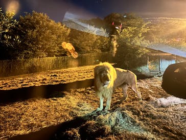 姫路セントラルパークに投稿された画像（2023/8/17）