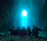 DIVING-SHOP SUNSに投稿された画像（2023/8/17）