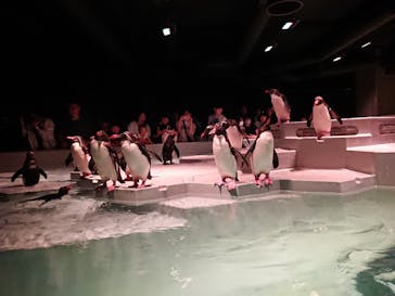 AOAO SAPPOROに投稿された画像（2023/8/17）