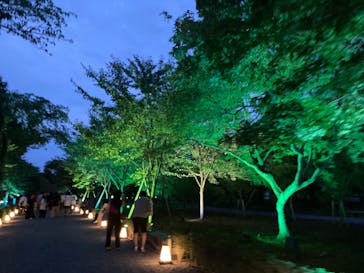 NAKED meets 二条城 2025 観月に投稿された画像（2023/8/17）