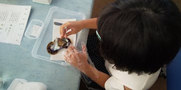 アクアワールド茨城県大洗水族館に投稿された画像（2023/8/17）