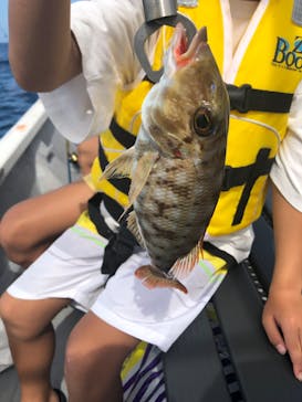 らいおん丸に投稿された画像（2023/8/17）