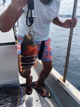 らいおん丸に投稿された画像（2023/8/17）