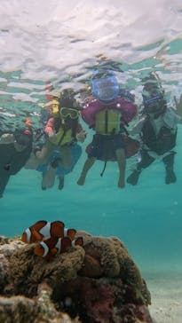 オースリーシュノーケル宮古島に投稿された画像（2023/8/17）