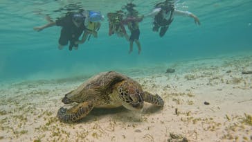 オースリーシュノーケル宮古島に投稿された画像（2023/8/17）