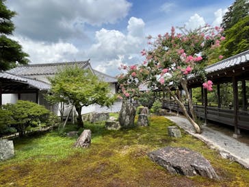 京阪電車に投稿された画像（2023/8/17）