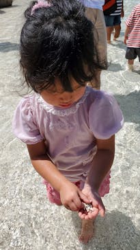 大分マリーンパレス水族館 「うみたまご」に投稿された画像（2023/8/17）