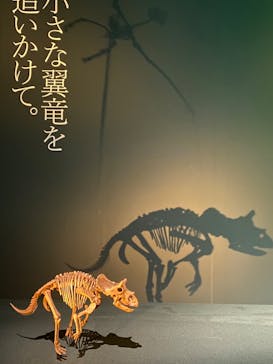 DinoScience 恐竜科学博 2023@TOKYO MIDTOWNに投稿された画像（2023/8/17）