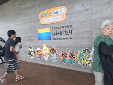 上越市立水族博物館 うみがたりに投稿された画像（2023/8/17）