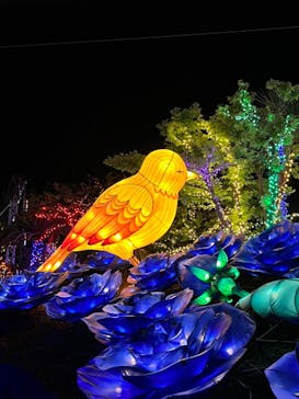 伊豆ぐらんぱる公園に投稿された画像（2023/8/17）