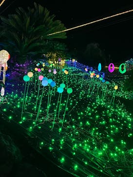 伊豆ぐらんぱる公園に投稿された画像（2023/8/17）