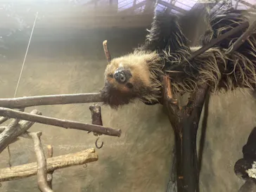 神戸どうぶつ王国に投稿された画像（2023/8/17）