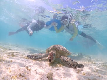 宮古島マリン GB QUESTに投稿された画像（2023/8/17）